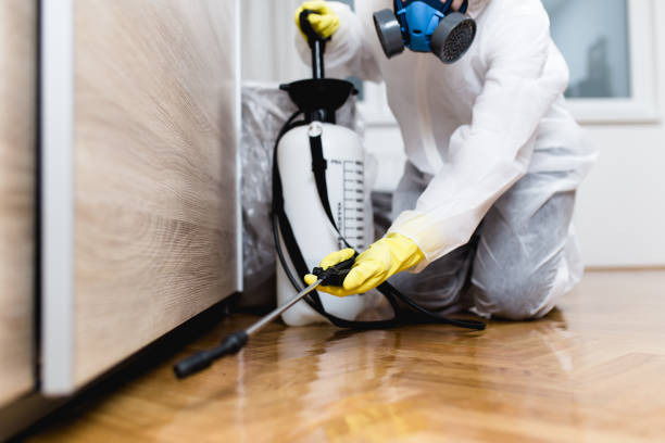 Best Pest Control Treatment  in Midtown, TN