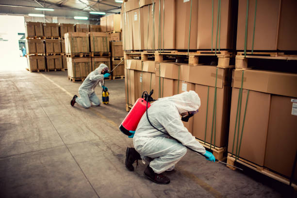 Best Termite Control Services  in Midtown, TN