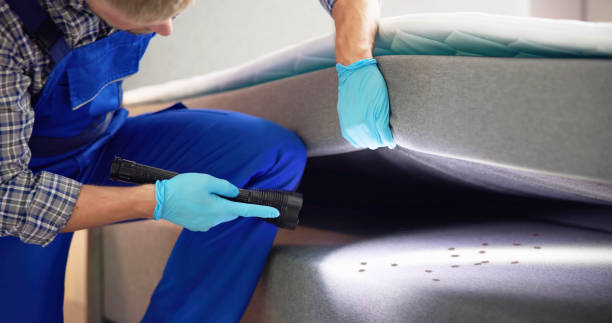 Best Pest Removal Services  in Midtown, TN