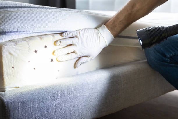 Best Pest Inspection Near Me  in Midtown, TN