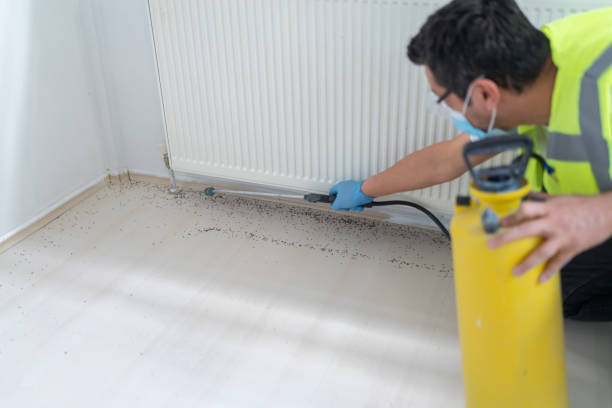 Best Best Pest Control Companies  in Midtown, TN
