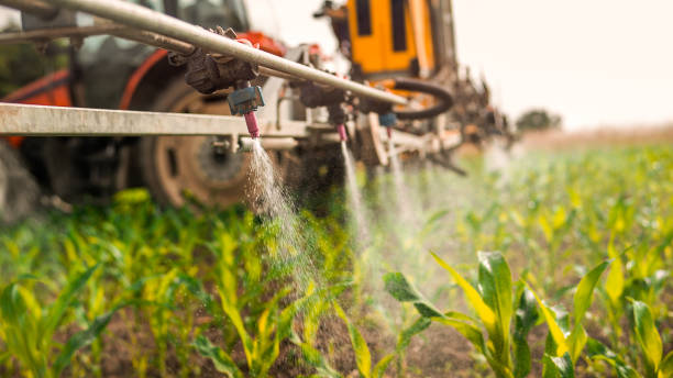 Best Commercial Pest Control Services  in Midtown, TN
